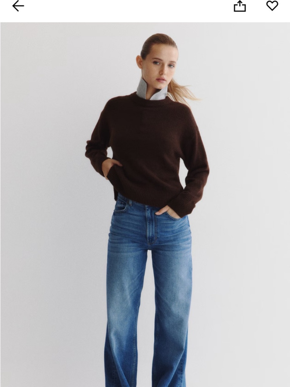 H&M Dark Brown Knit Sweater